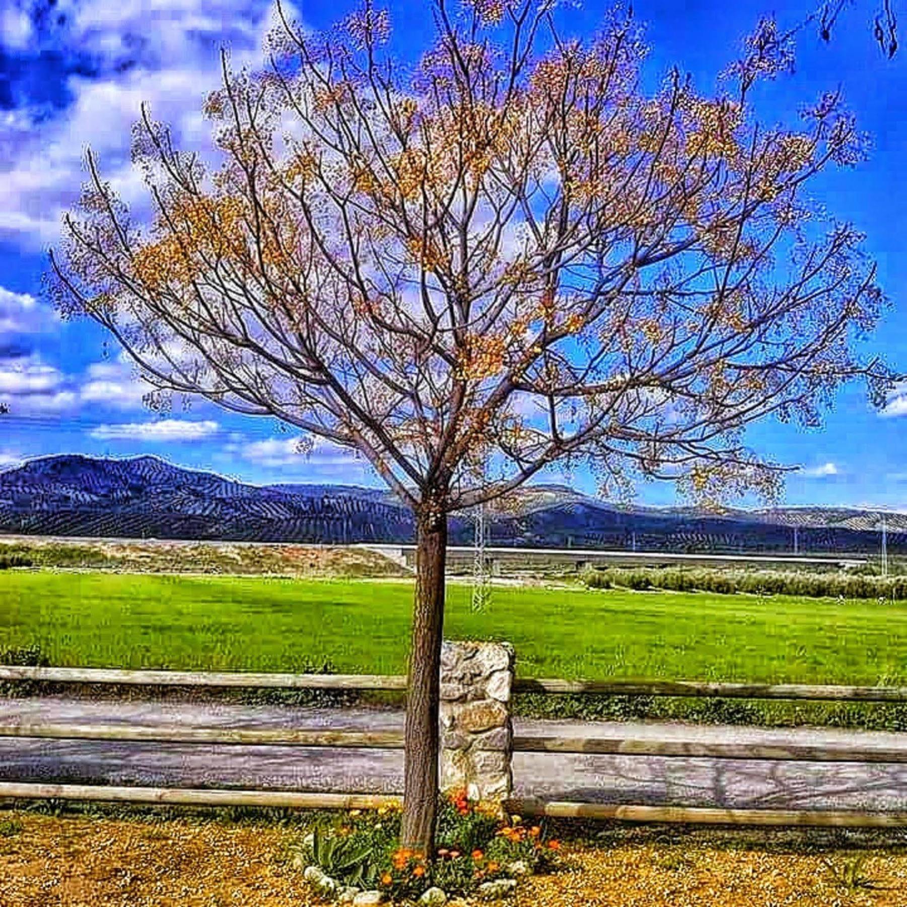 Alojamiento Rural El Cortijuelo Illora Exterior foto